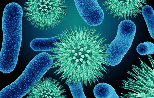 patogennye-mikroorganizmy